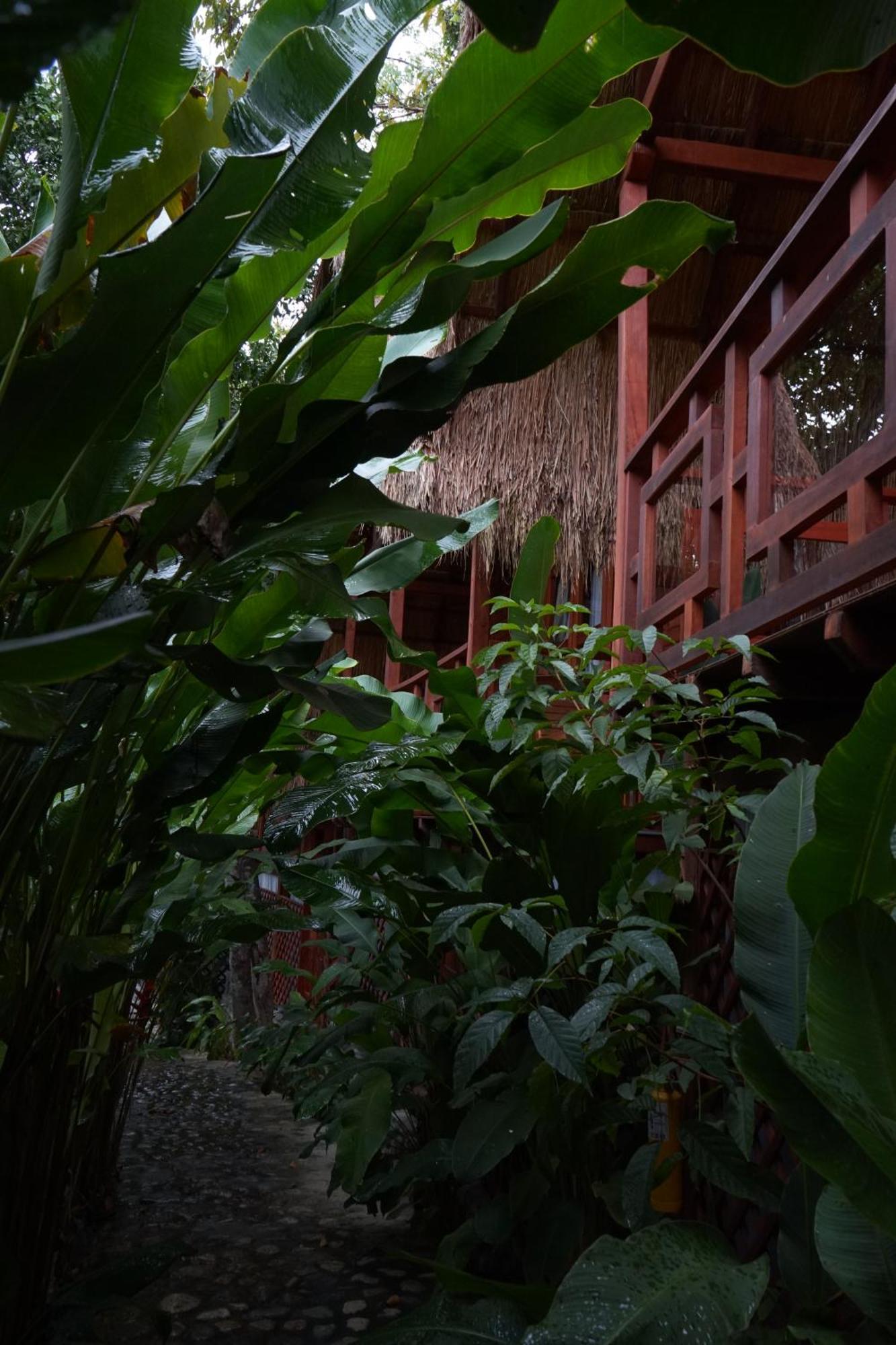 Bio Rio Hotel San Jeronimo  Exterior foto